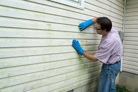 Affordable Siding Repair and Maintenance Services in Quitman, TX